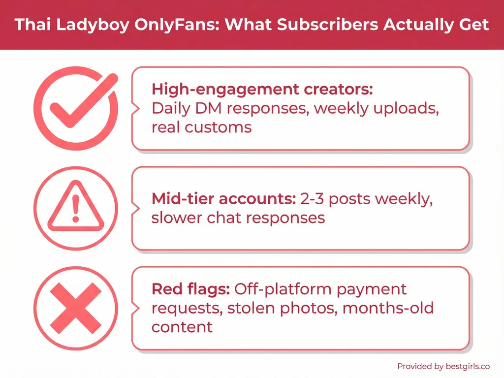 Infographic comparing Thai ladyboy OnlyFans creator engagement levels